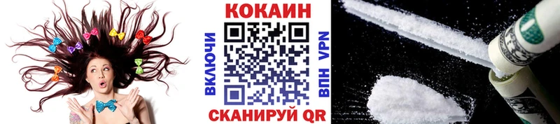 магазин продажи наркотиков  Скопин  COCAIN Fish Scale 