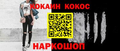 крисы Кингисепп