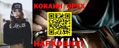 гашик Гагарин