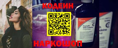 крисы Кингисепп
