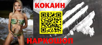 крисы Кингисепп