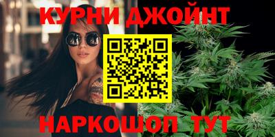 крисы Кингисепп