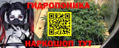 дурь Кимры