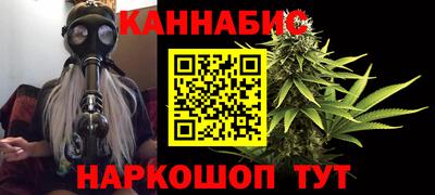крисы Кингисепп
