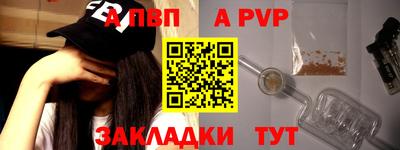 крисы Кингисепп