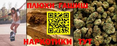 крисы Кингисепп
