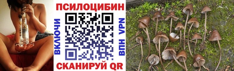 Псилоцибиновые грибы MAGIC MUSHROOMS  продажа наркотиков  Скопин 