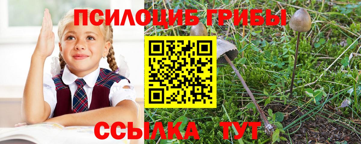 Галлюциногенные грибы Скопин