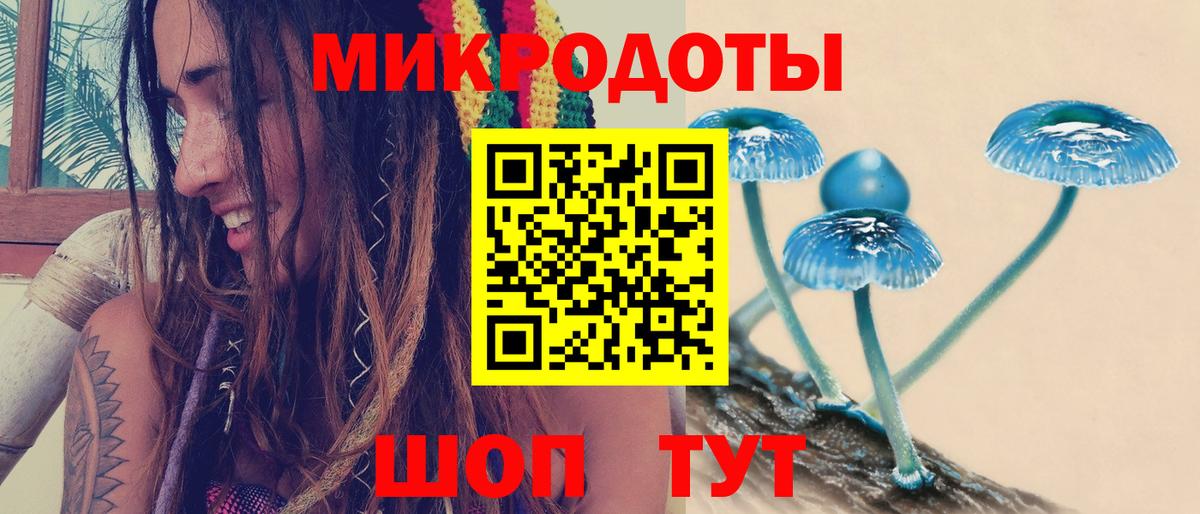 купить  сайты  Псилоцибиновые грибы Cubensis  Скопин  Псилоцибиновые грибы Cubensis 