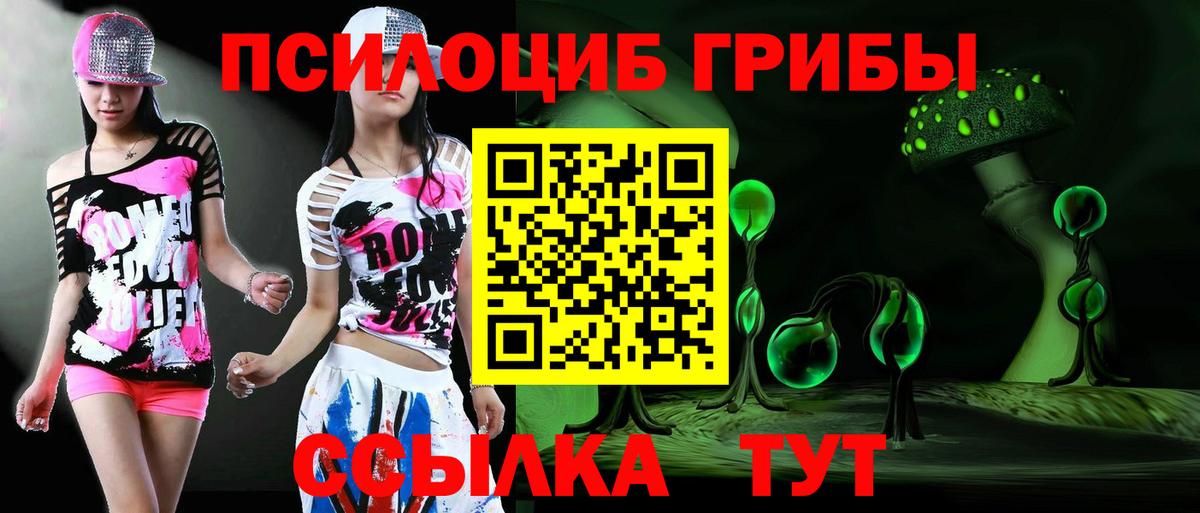 Галлюциногенные грибы мицелий Скопин