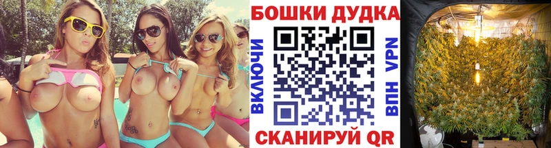 Шишки марихуана Ganja  где купить наркоту  Скопин 